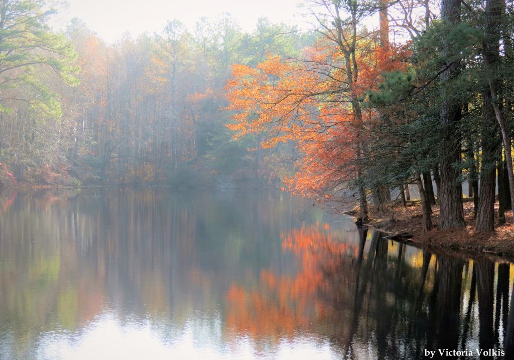 Duane-Loveland_Brecks-Mil-on-Brandywine